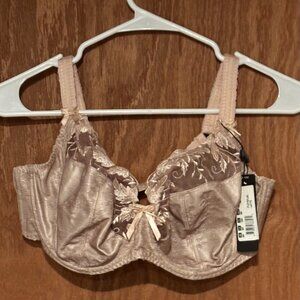 Fantasie Woman's Bra Size 36FF Brand New With Lace Cups Color Latte